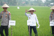 Presiden Prabowo Umumkan Indonesia Swasembada Pangan: Gubernur Al Haris Hadiri Tasyakuran Secara Virtual