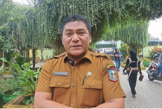 Disdikbud Sarolangun Akan Tindak Guru Yang Belum Masuk Sekolah