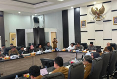 Dukung Gagasan Pemkot Sungai Penuh, Afuan Yuza Putra Minta Kajian Matang Untuk Lobi Pusat