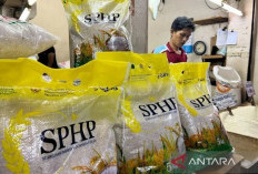 Mulai Maret Hingga Akhir Tahun, Pemerintah Distribusi Beras SPHP 2026