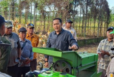 Bupati M. Syukur Gagas Lahan Pertanian Jadi Sarana Edukasi: Anak Sekolah Harus Tahu Cara Bertani