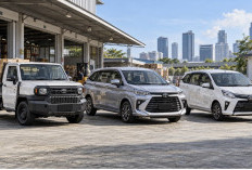 Hilux Rangga, Avanza, atau Calya Bekas: Mana Mobil Operasional yang Paling Pas untuk Usaha Anda?