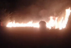 Karhutla Kembali Terjadi, Lima Hektare Lahan di Kumpeh Terbakar