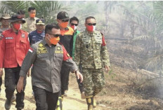 Gubernur Al Haris Pantau Karhutla Tahura di Batang Hari, Dua Waterbombing Disiapkan
