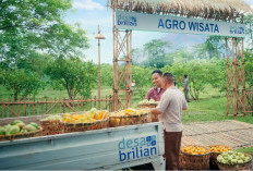 BRI Resmikan Kick-Off Desa BRILiaN 2026 untuk Dorong Transformasi Desa 5.0