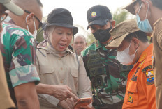 Danrem 042/Gapu Cek Jalur Karhutla di Tahura Orang Kayo Hitam, Tekankan Percepatan Penanganan