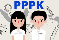 Nasib PPPK Paruh Waktu di Tebo Saat Ini Masih Aman