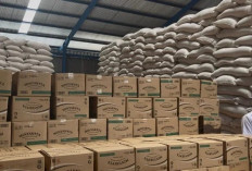 Stok Beras 1.200 Ton, Aman Sebulan Kedepan