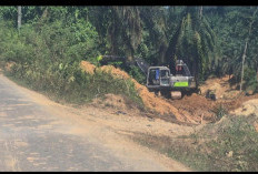 PETI Excavator Makin Menggila, Keruk Tanah Hanya Beberapa Meter dari Jalan