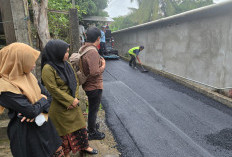 240 Paket Jalan Lingkungan Dikebut, PUTR Kota Jambi Target Rampung November 2026