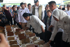 Produksi Padi 2026 Naik, Ketersediaan Beras Nasional Dipastikan Aman dan Melimpah