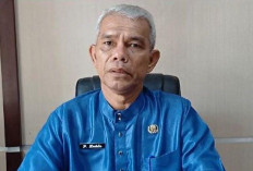 73 Desa dan Kelurahan di Muaro Jambi Rawan Karhutla,  BPBD Siaga hingga Oktober