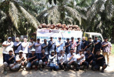 PTPN IV Catat Sejumlah Rekor Produksi pada 2025