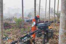 Susuri Medan Sulit, BPBD Tanjabtim Andalkan 24 Motor Bantuan Presiden untuk Padamkan Karhutla