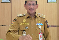 Gubernur Al Haris Tunjuk Johansyah Jadi Jubir Khusus Penanganan Karhutla Jambi, Cegah Simpang Siur Informasi