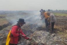 Polda Jambi Cek dan Tangani Karhutla di Sungai Aur, Luas Lahan Terbakar Capai 20 Hektare