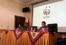 Restorasi Berbasis Masyarakat di Bentang Alam Bukit Tigapuluh Dinilai Perkuat Konservasi dan Ekonomi Warga