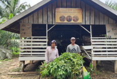 Sulap Kambing CSR SKK Migas PetroChina Jadi Motor Ekonomi Desa; Pemerintah Desa Bangga dan Ucapkan Terimakasih