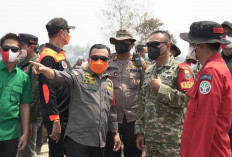 Karhutla Tahura Batang Hari Kembali Jadi Perhatian, Kasiops Korem 042/Gapu Dampingi Gubernur Jambi