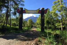Waktu Tempuh 4 Hari 3 Malam, Jalur Pendakian Gunung Kerinci via Solok Selatan Resmi Dibuka