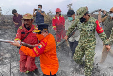 Danrem 042/Gapu dan Gubernur Jambi Kembali Turun ke Lapangan, Perkuat Penanganan Karhutla di Pulau Mentaro