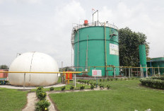Olah Limbah 17 PKS, PTPN IV PalmCo dan PT Renikola Bangun 16 Pabrik Biomethane Serap Ribuan Tenaga Kerja