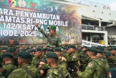 Berhasil Jaga Perbatasan dan Bantu Masyarakat Papua, Satgas Yonif 142/KJ Pulang dengan Prestasi Gemilang