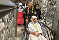  Permudah Akses Bus Shalawat, PPIH Siapkan Jalur Khusus Lansia di Terminal Ajyad