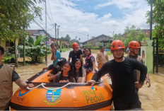Diguyur Hujan Semalaman, 47 RT di Kota Jambi Terendam! Tiga Sekolah Ikut Terendam