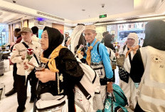  Jemaah Gelombang Kedua Mulai Bergerak ke Madinah, Kemenhaj Pastikan Kemudahan Ibadah hingga Kepulangan