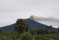 Antispasi Karhutla, Pendakian Gunung Kerinci Ditutup 