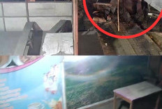 Dua Pria Terekam CCTV Curi Pom Mini di Depan Warung
