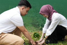 Hari Bumi, PTPN Group Gerakkan Seluruh Karyawan Tanam Pohon