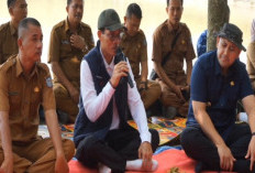 Dinilai Gigih Perjuangkan Nasib SAD, Kemensos Puji Kinerja Bupati Merangin