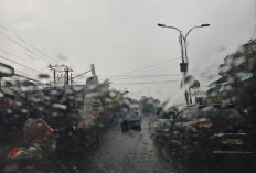 Hujan Alami Guyur Kota Jambi, Satgas Sebut Lokasi Kebakaran Beberapa Wilayah Terjadi Hujan Sedang-Lebat