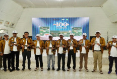 Menatap Abad Kedua Teh Kayu Aro