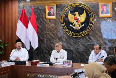 Dukung Ketahanan Pangan, Pemerintah Akan Tetapkan Lahan Sawah yang Dilindungi di 12 Provinsi