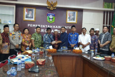 Mediasi Hasilkan Kesepakatan, SAD Sampaikan Maaf dan Janji Tak Ambil Lagi Sawit PT SAL