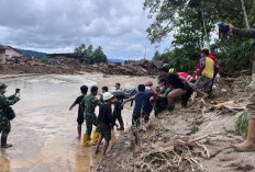 Bertambah, Korban Meninggal Dunia Bencana di Sumut Jadi 348 Orang