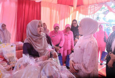 Ketua TP-PKK dan Ketua Bhayangkari Tanjab Barat Tinjau Stand Bazar dan UMKM di Alun-Alun Kuala Tungkal
