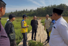 Reses di Bungo, Edi Purwanto Tinjau Lokasi Pembangunan Jembatan Desa Candi Senilai Rp14 M