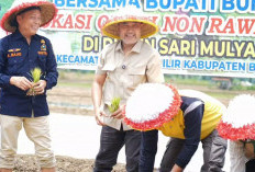 Perkuat Ketahanan Pangan, Bupati Dedy Putra Dorong Inovasi Padi Nutrizing