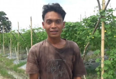 Harga Pare Anjlok, Petani di Muaro Jambi Menjerit
