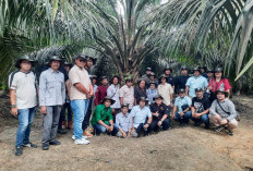 Media Field Visit Asian Agri: Menyaksikan Langsung Kesuksesan Mitra Petani Sawit di Merlung