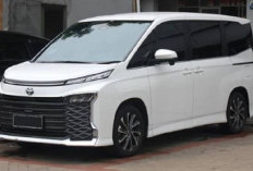 Membandingkan Toyota Voxy Bekas dan Toyota Kijang Innova Bekas untuk Pilihan Mobil Keluarga Besar