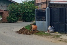 Mulai Juni 2026, Pemkot Jambi Targetkan Tahap Uji Coba Jaringan Gas Dimulai