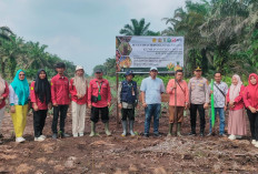 Dukung Ketahanan Pangan, PT WKS dan Polsek Geragai Tanam Jagung Bersama KTH Berkah Saudara