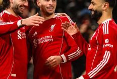 Hasil Piala FA, Liverpool Bantai Brighton and Hove Albion 3-0