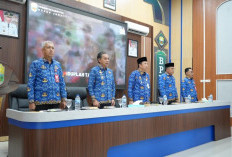 Rombak Pola Lama, Muaro Jambi Bentuk Tim Investasi Terpadu