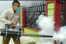 Kasus DBD di Sungai Penuh Meningkat, 88 Warga Terjangkit hingga Juli 2026